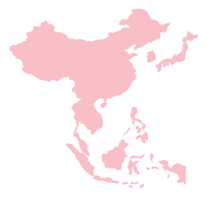 Asia 14-1GB/Natural day+eSIM Carrier of 90 days