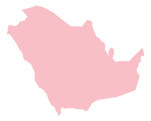 Gulf Arab 5-10GB,128kbps-eSIM Carrier of 90 days