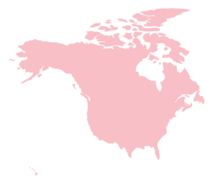 USA Canada-3GB/Natural Day-eSIM Carrier of 90 days